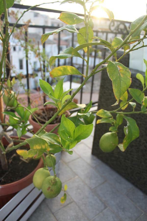 Dimore De La Rosa Palermo Luaran gambar